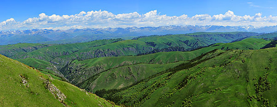 soi cau xsmb rong bach kim