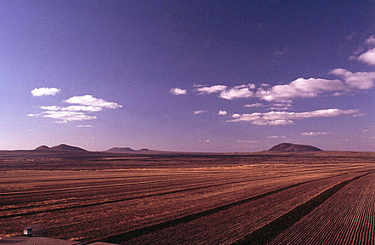 wap du doan