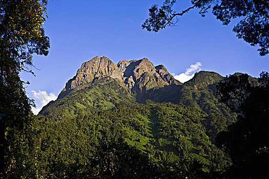 soi cau loto rong bach kim