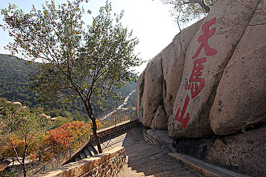 soi cau lo rong bach kim