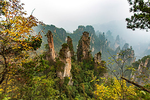 soi cau sieu chuan