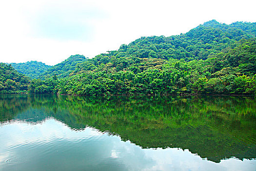 kqxs vinh lông