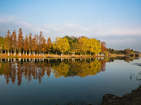 thống kê bạch thủ