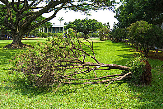 xổ số hôm qua