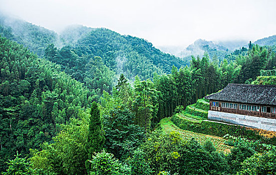 đánh xổ số online
