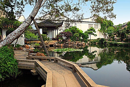 cau bạch thu hom nay