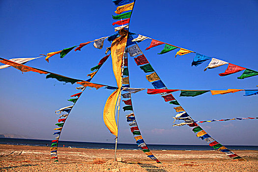 soi cầu xổ số gia lai