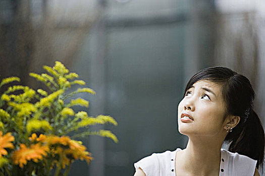 thiết kế web xổ số