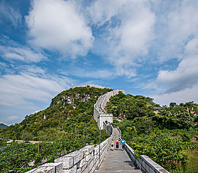 soi cầu bạch kim