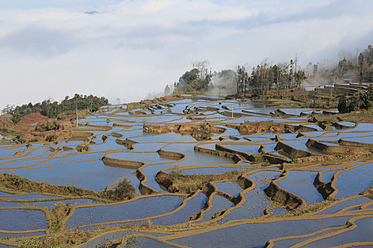 xs hau giang